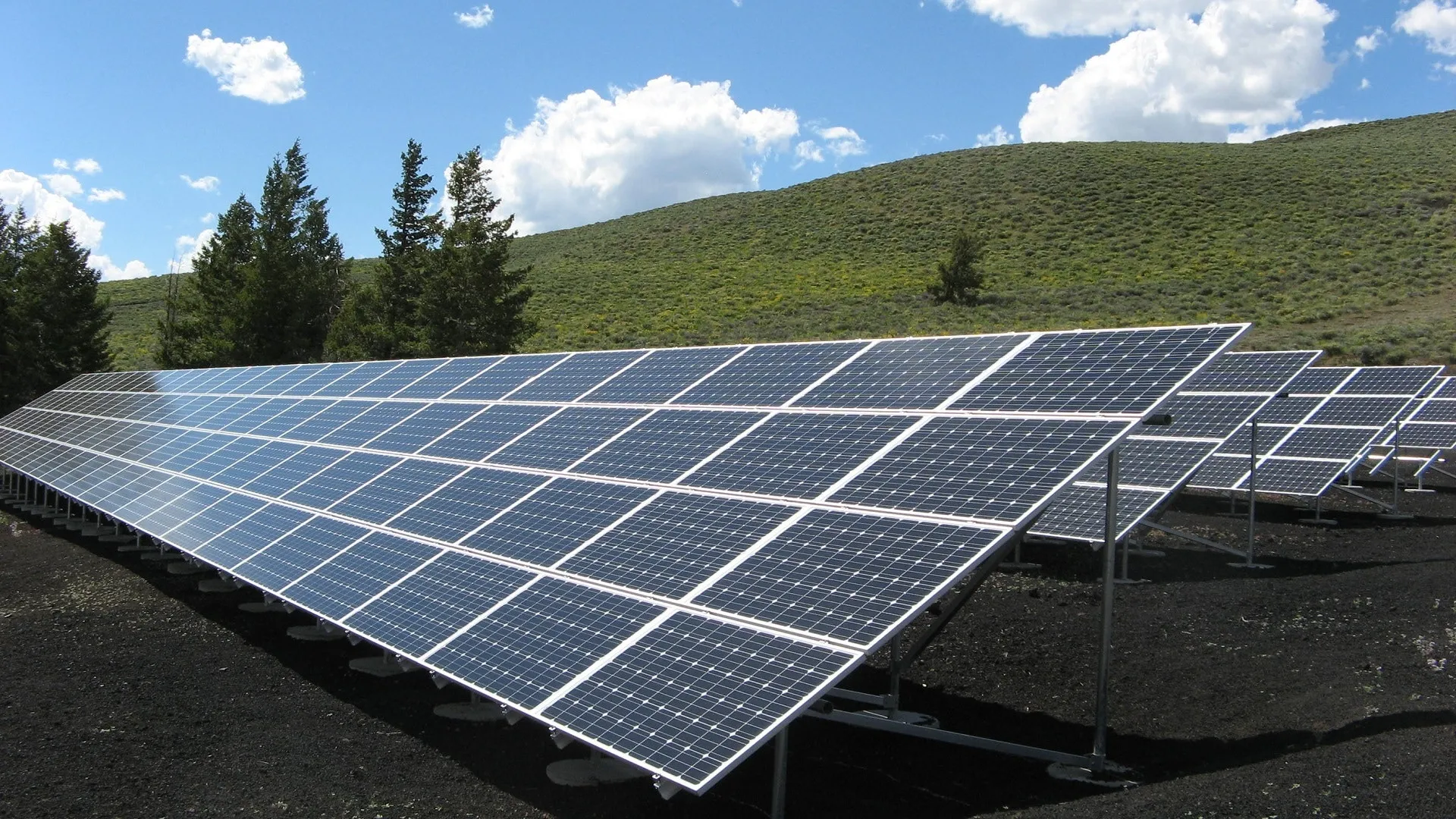 Net Zero